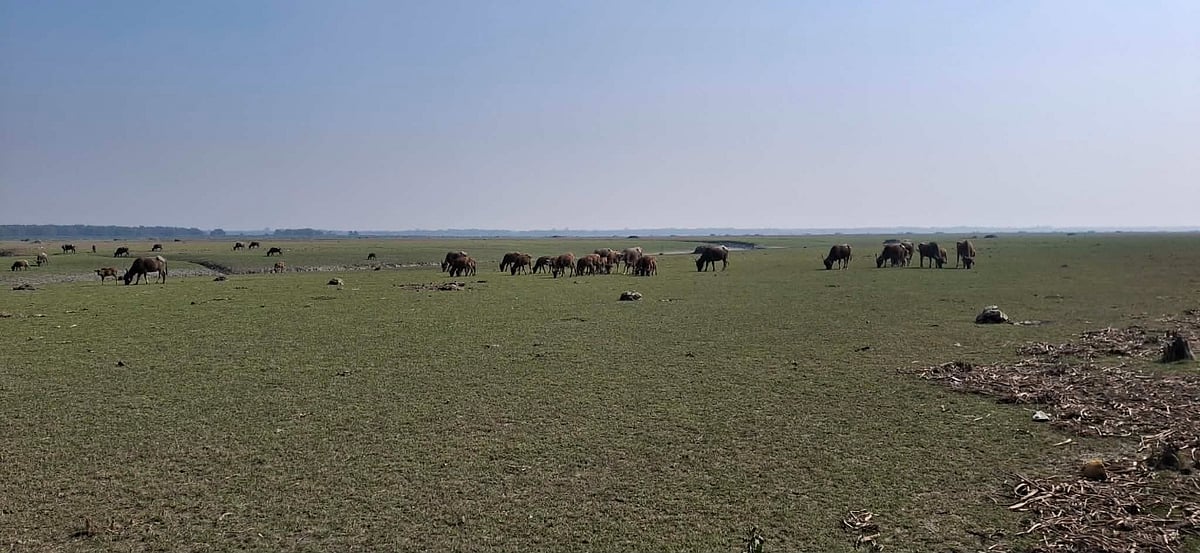 চরের জমি বিক্রি করে তিন সন্ত্রাসী বাহিনী, দখল নিয়েই সংঘর্ষ-গোলাগুলি