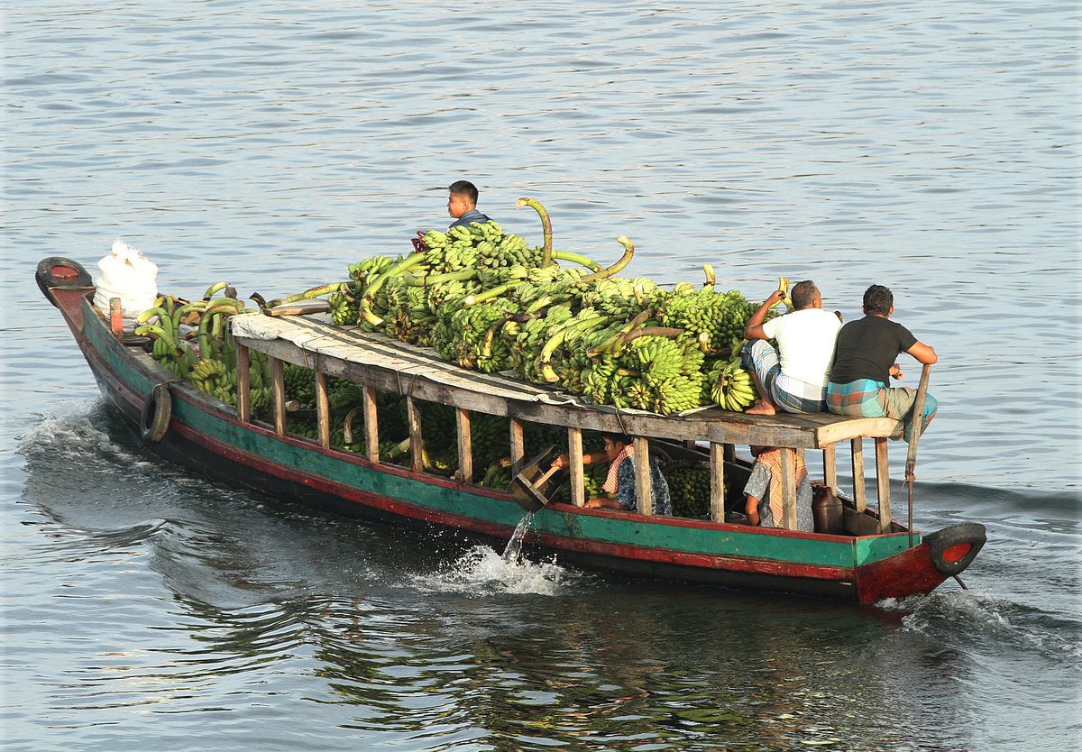 একঝলক (২৪ ডিসেম্বর ২০২৫)
