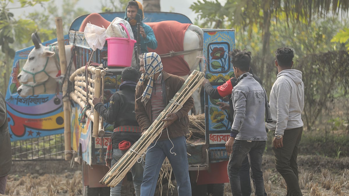 দূরদূরান্ত থেকে পিকআপে করে প্রতিযোগিতার জন্য আনা হয়েছে গরু ও গাড়ি।
 