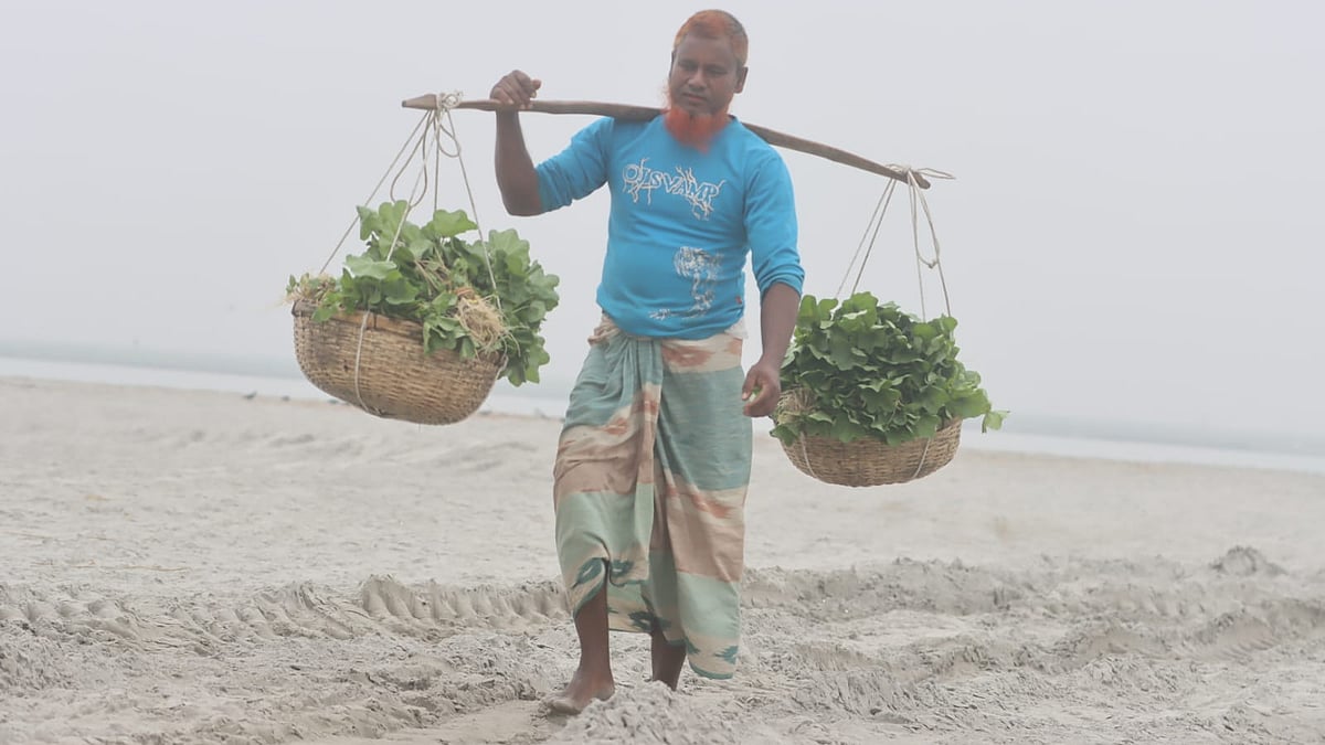 তীব্র শীত আর কুয়াশার ভেতর চর পেরিয়ে শাক বিক্রি করতে বাজারে যাচ্ছেন তিনি
 