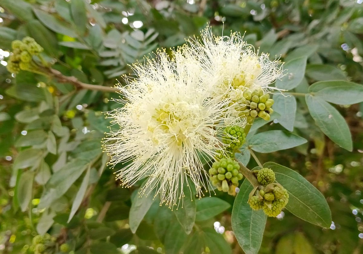 ছবি: মোস্তাফিজুর রহমান