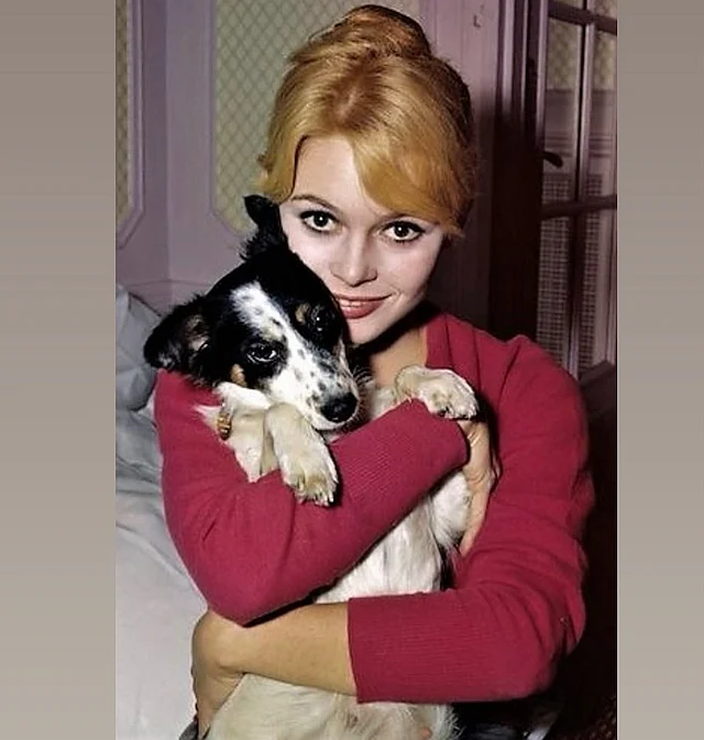 বার্দো থেকে যাবেন বিপুল অনুভব হয়ে