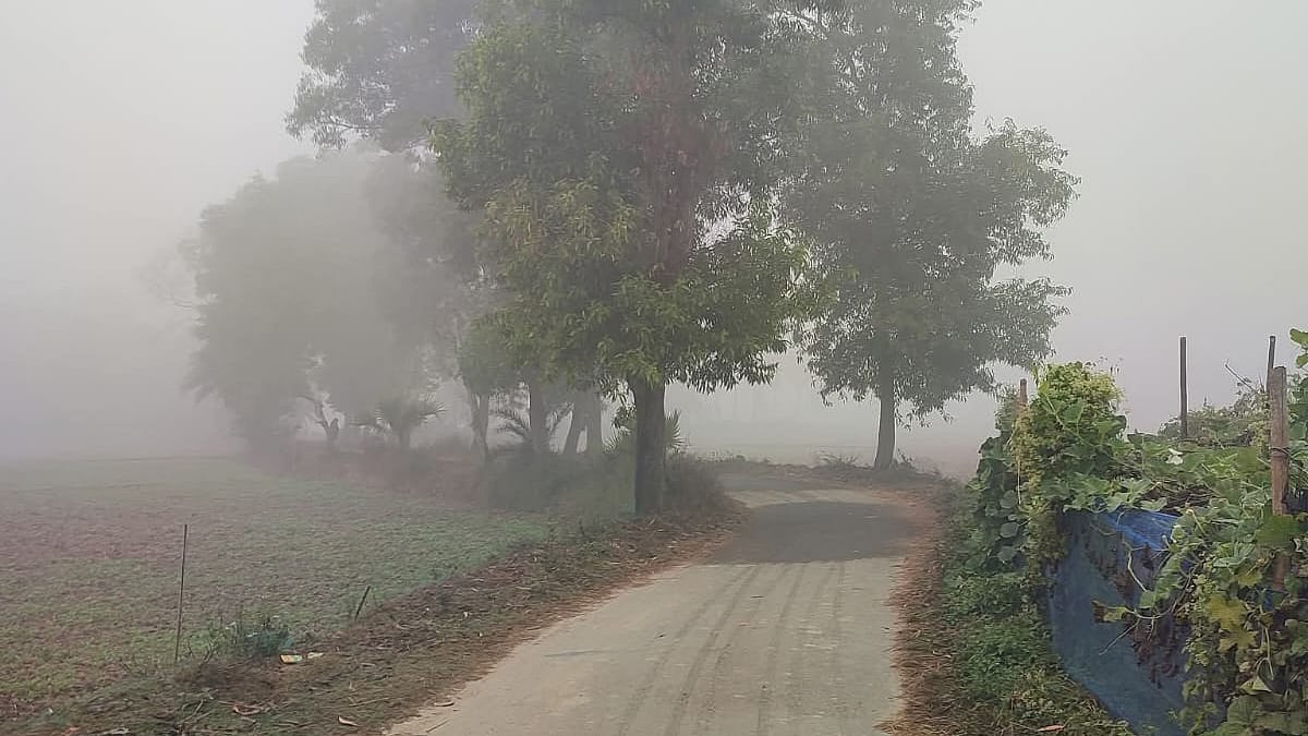 ছবি: প্রথম আলো