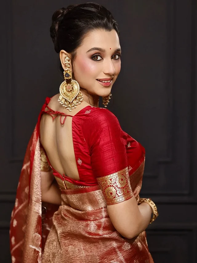 সাফিয়া সাথীর নজরকাড়া বেনারসি শাড়ি ও আকর্ষণীয় ব্যাকলেস ব্লাউজে সাবিলা সত্যিই মোহনীয় 