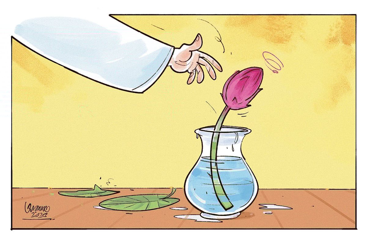 জামায়াতের সঙ্গে সমঝোতা, এনসিপির পরিচয়সংকট কি ঘুচল