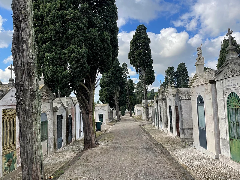 শবযাত্রীর বহরের সঙ্গে অলক্ষে ঢুকে গেছি সমাধিক্ষেত্রে