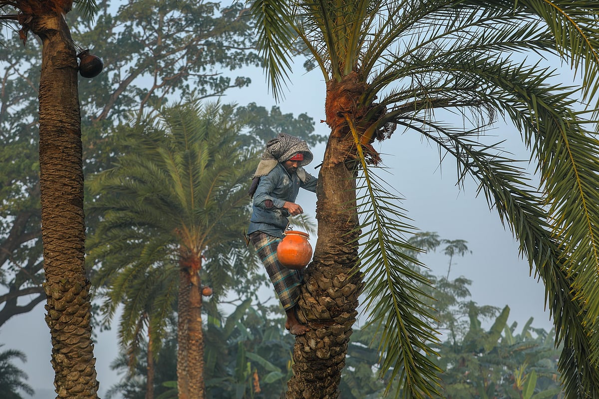 ছবি: সাদ্দাম হোসেন