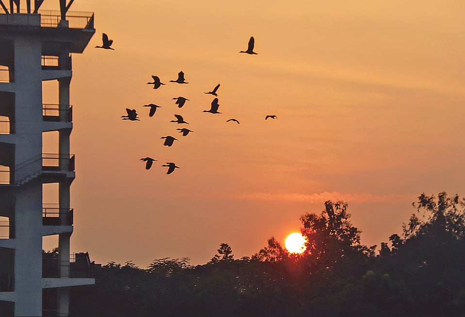 বিদায় হে ২০২৫
