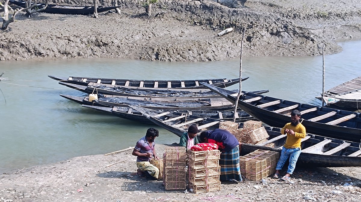 সুন্দরবনে কাঁকড়া ধরায় দুই মাসের নিষেধাজ্ঞা