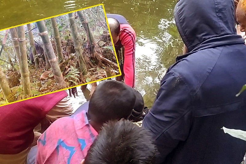 পঞ্চগড়ে তাড়া করে অদ্ভুত এক শজারু ধরেছেন স্থানীয় বাসিন্দারা