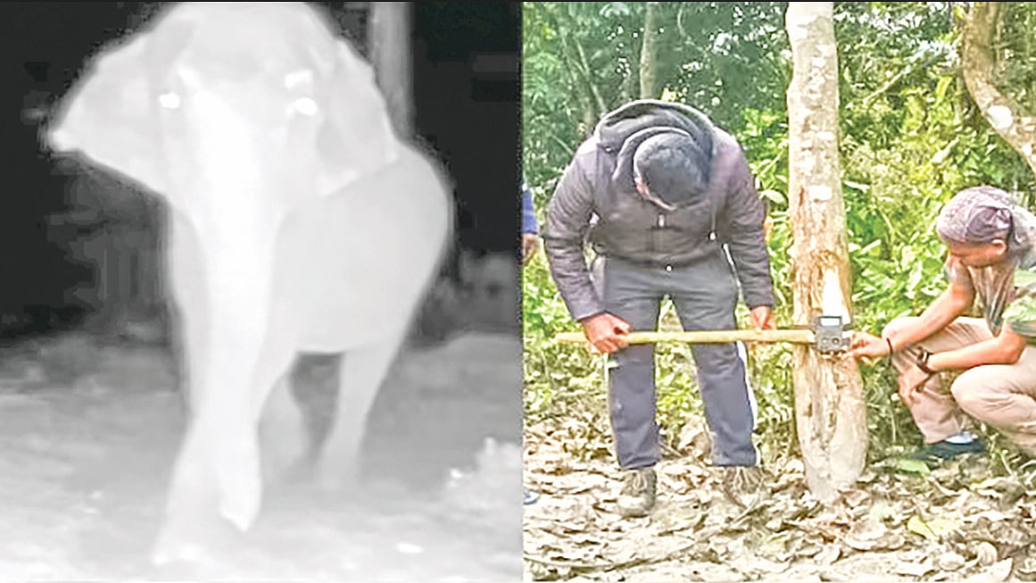 ছবি: এক্স থেকে নেওয়া