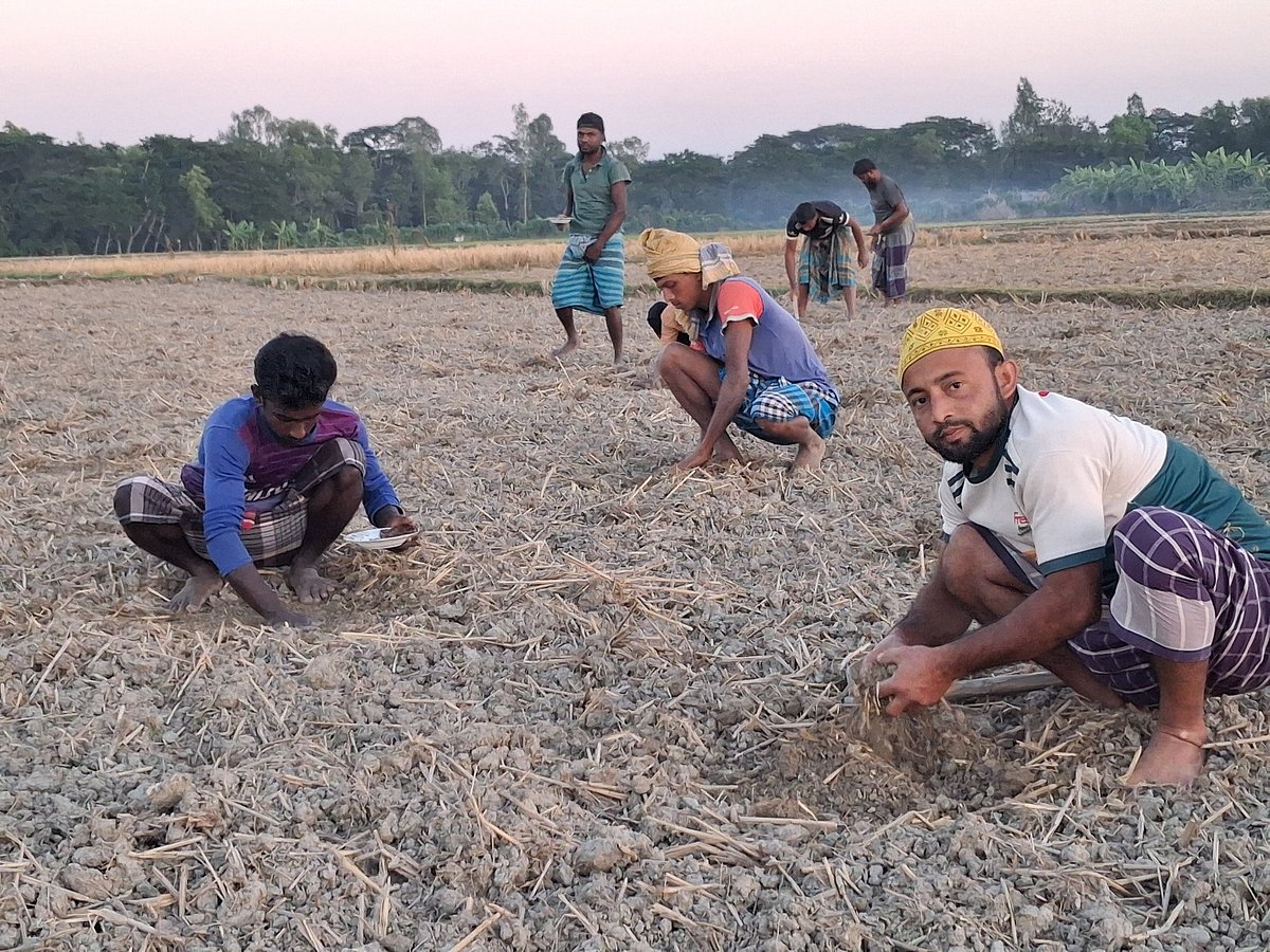 এলাকায় ফলন কমেছে, চট্টগ্রামে গিয়ে তরমুজ চাষ করছেন নোয়াখালীর কৃষকেরা