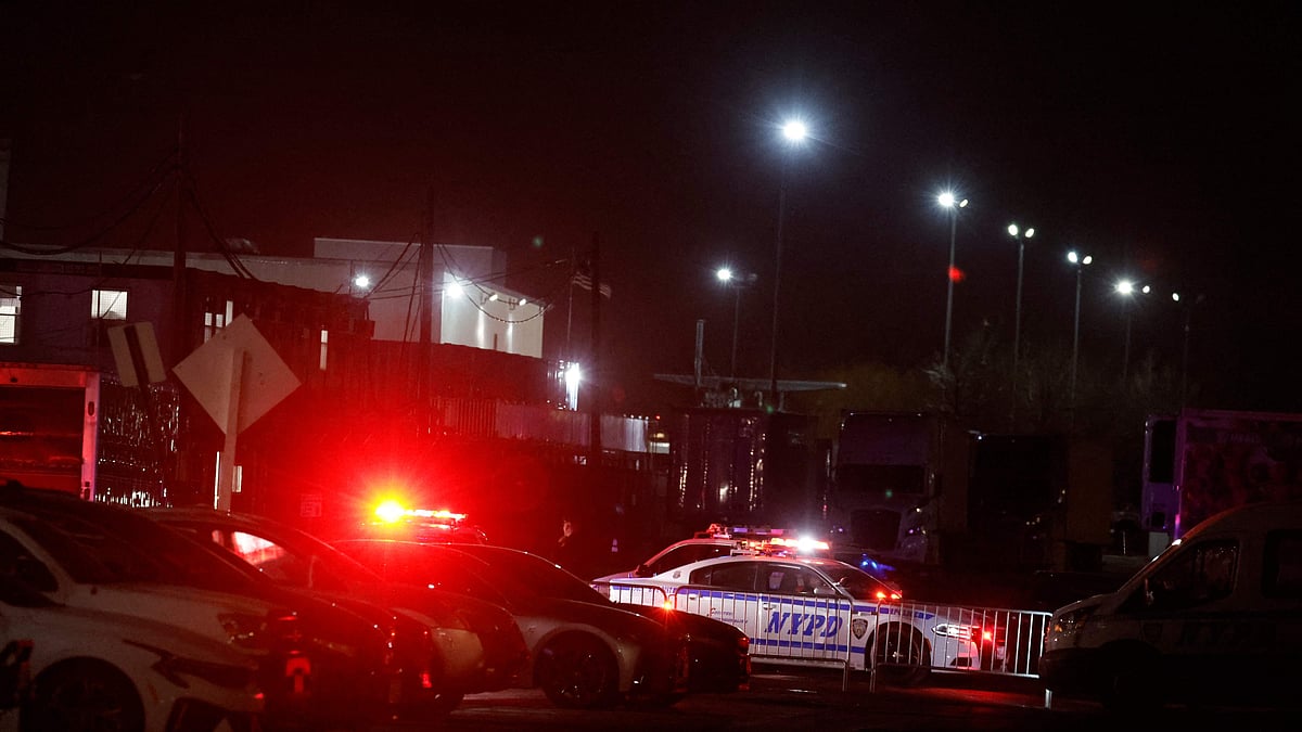 ছবি: এএফপি