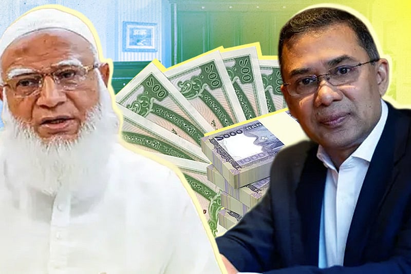 হলফনামায় তারেক রহমান–শফিকুর রহমান কত টাকার সম্পদ দেখালেন