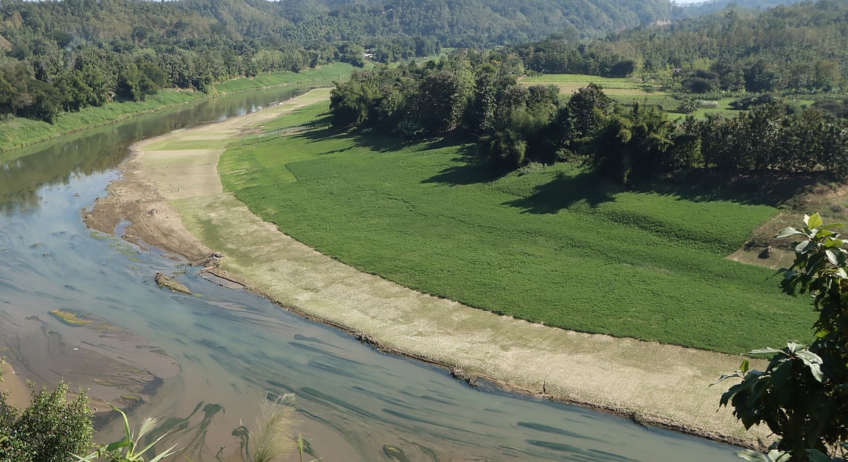 সাঙ্গুর চরে বাদাম তোলার ধুম