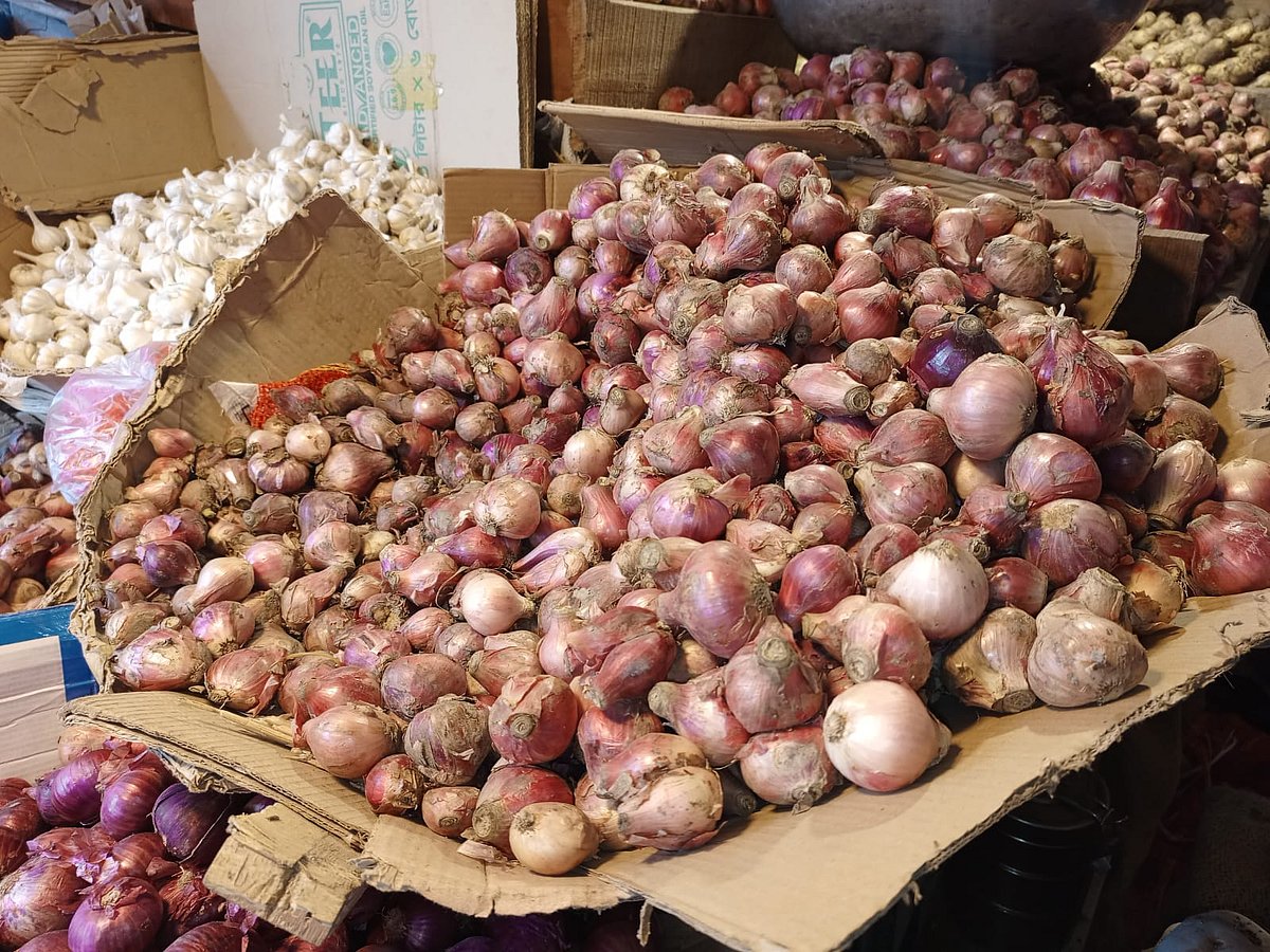 নতুন পেঁয়াজের দাম কমছে, ঢাকায় কেজিপ্রতি দাম ৬০-৭০ টাকা