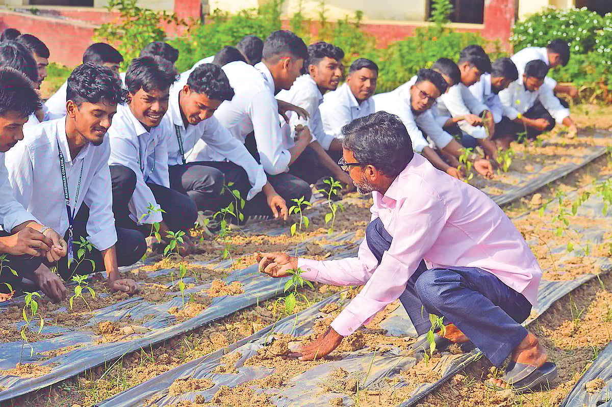 মহিষমারা কলেজে লেখাপড়ার সঙ্গে ফসল ফলানোর শিক্ষা