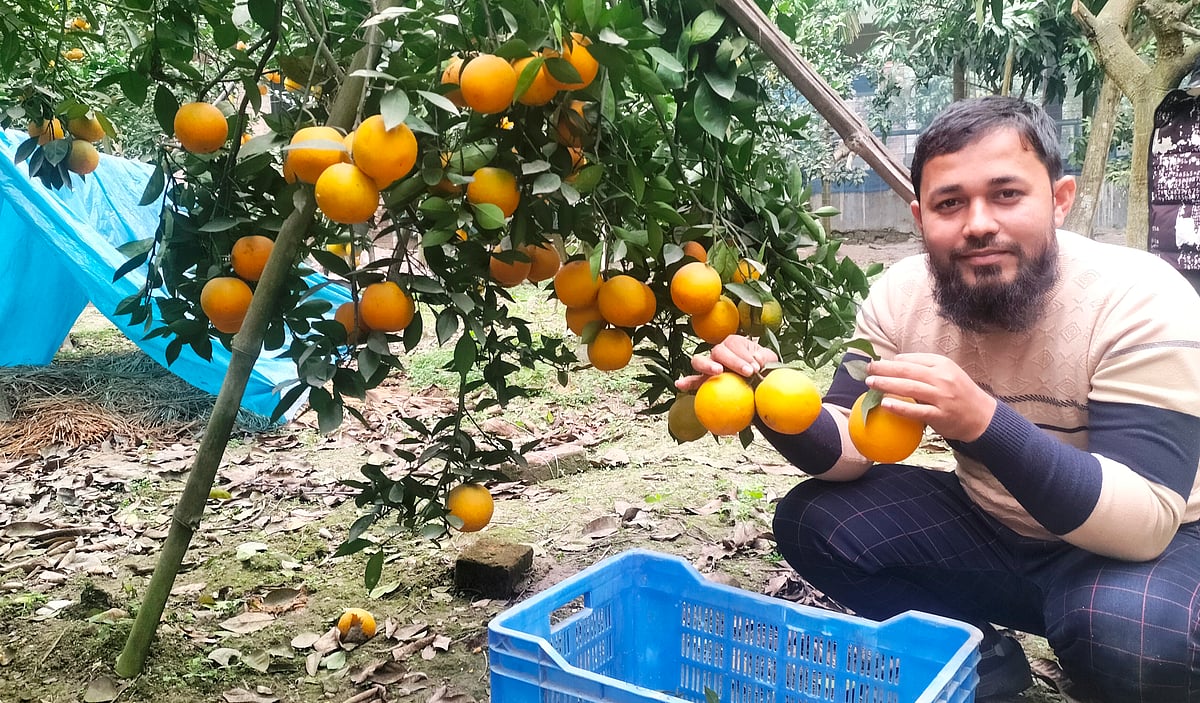 চাকরি–ফ্রিল্যান্সিং ছেড়ে কৃষিতে প্রকৌশলী নাঈম, মাসে আয় দুই লাখ টাকা