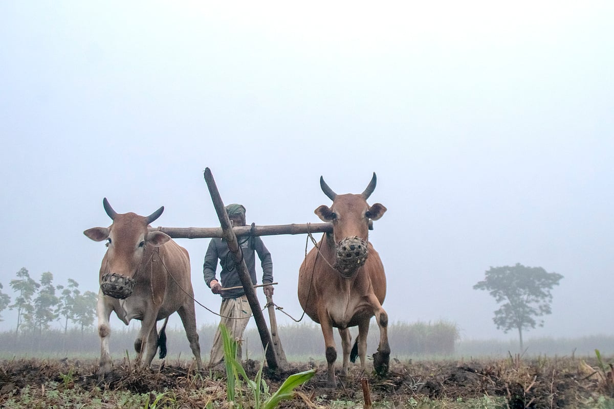 এক ঝলক (৬ জানুয়ারি ২০২৬)