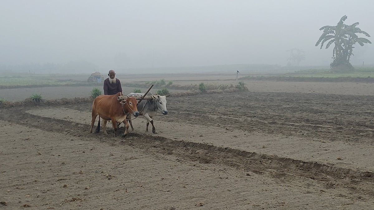কনকনে শীতে কাঁপছে রাজশাহী, ১০ জেলায় শৈত্যপ্রবাহ