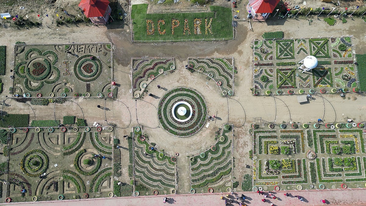 ১৪০ প্রজাতির ফুল নিয়ে শুরু হচ্ছে ফুল উৎসব