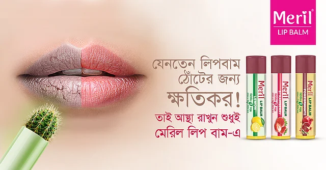 শীতে ভিটামিনসমৃদ্ধ লিপবাম ব্যবহার করতে চাইলে বেছে নিতে পারেন মেরিলের ভিটামিন-ই–সমৃদ্ধ লিপবামের মতো পণ্যগুলো