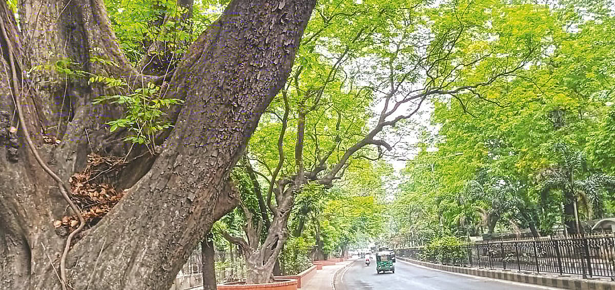 মন্ত্রিপাড়ায় থাকবেন শুধু মন্ত্রীরা