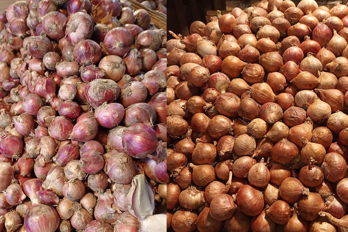 পেঁয়াজ ও নাজিরশাইল চালের দাম কমেছে, মসুর ডাল বেড়েছে