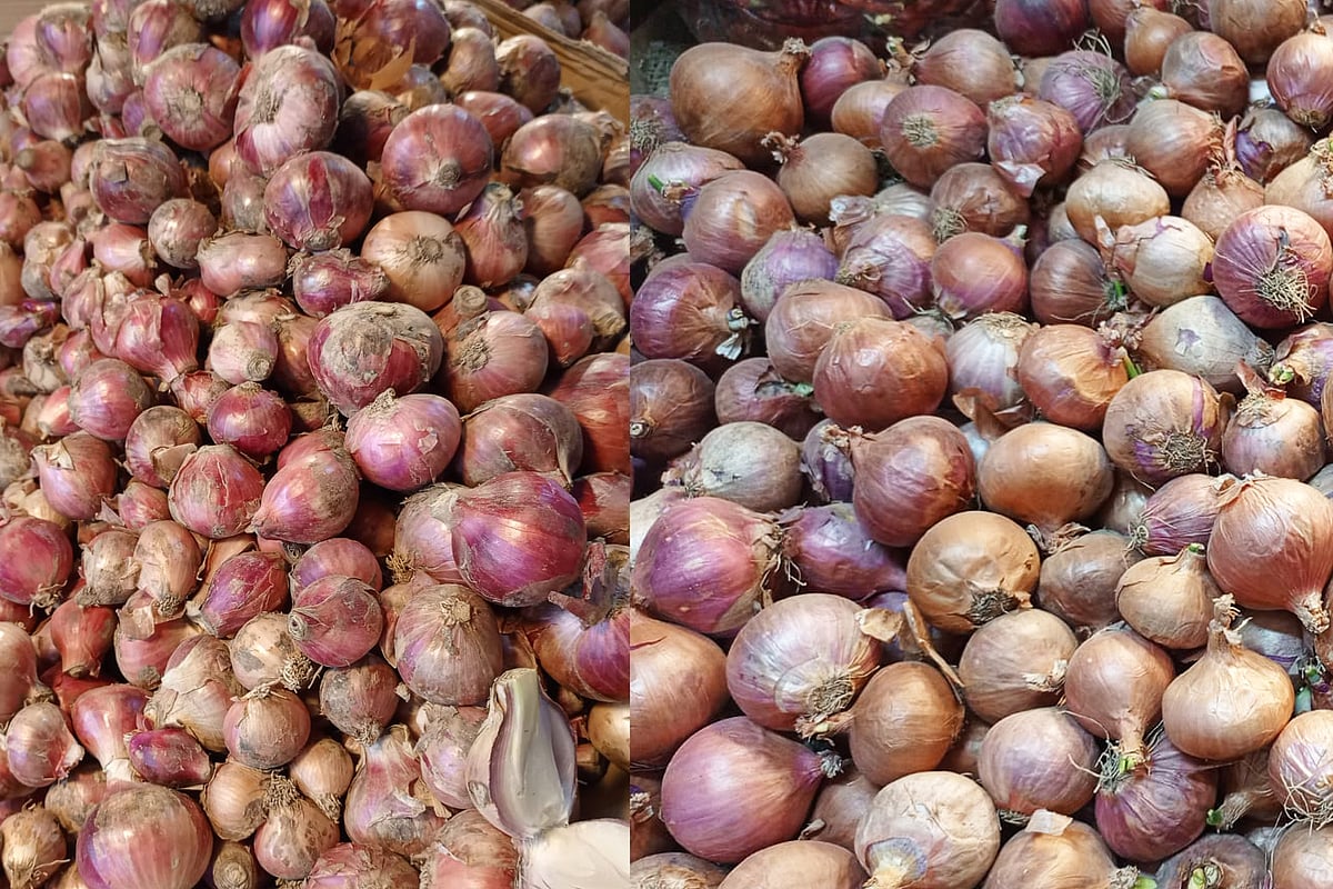 মুড়িকাটা ও হালি পেঁয়াজ কী, কীভাবে চিনবেন