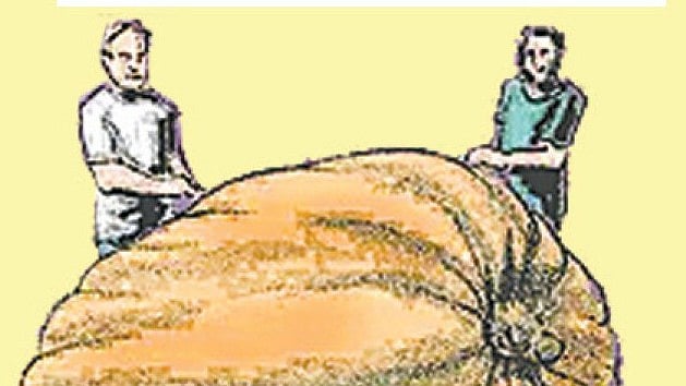 কুমড়ার ওজন ২ হাজার ৮১৯ পাউন্ড