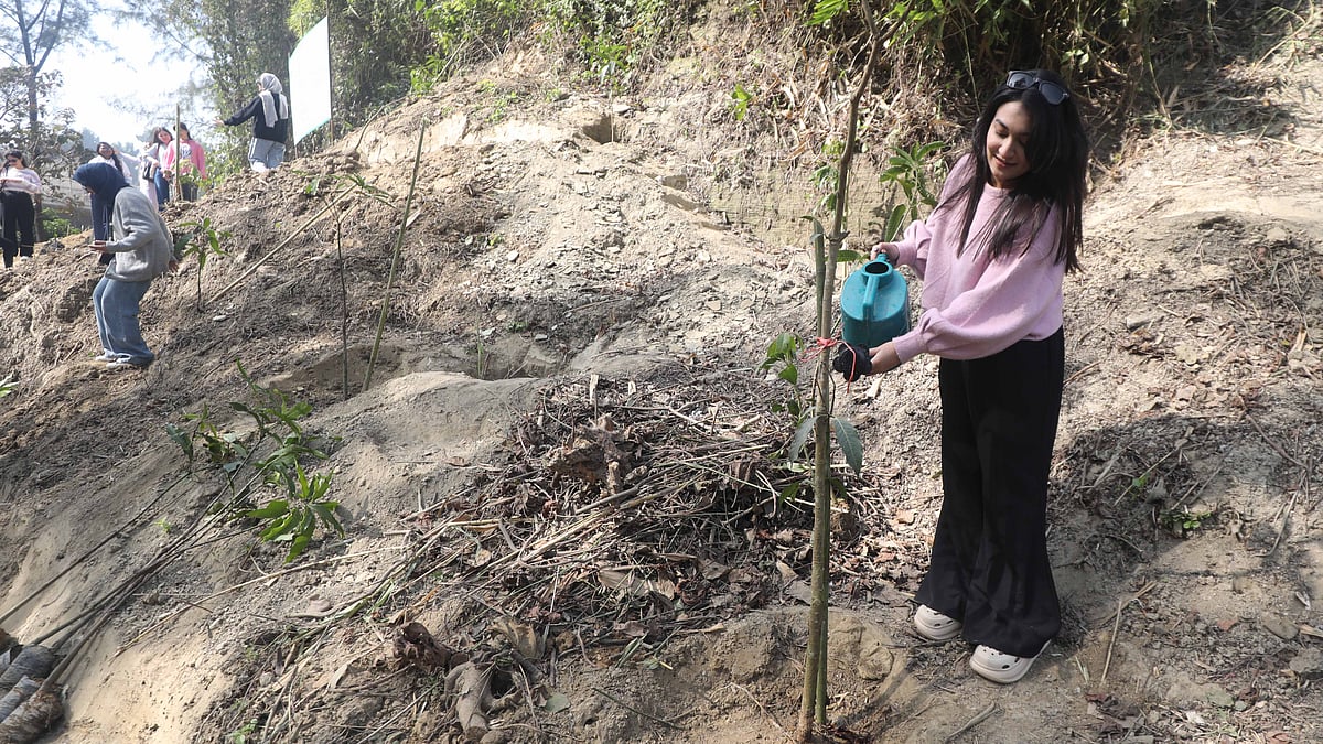 গাছে পানি দিচ্ছেন এক শিক্ষার্থী
