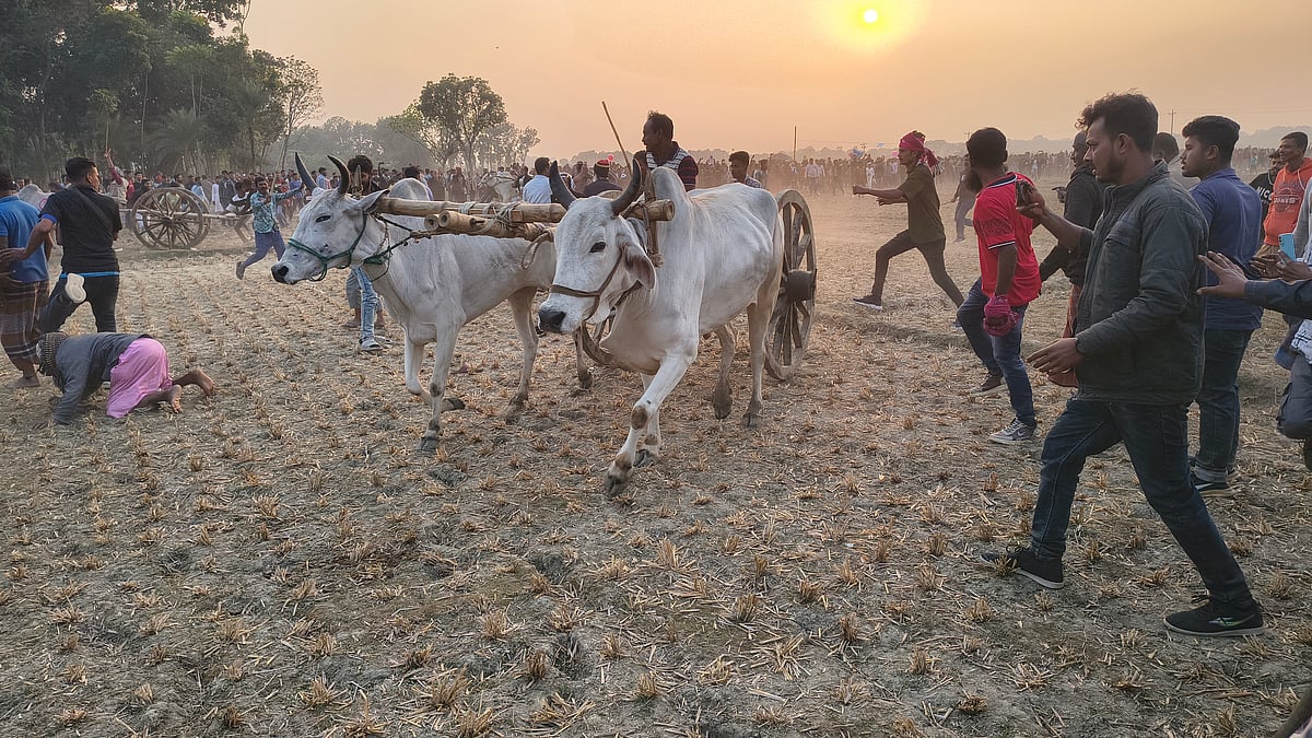 ছবি: প্রথম আলো