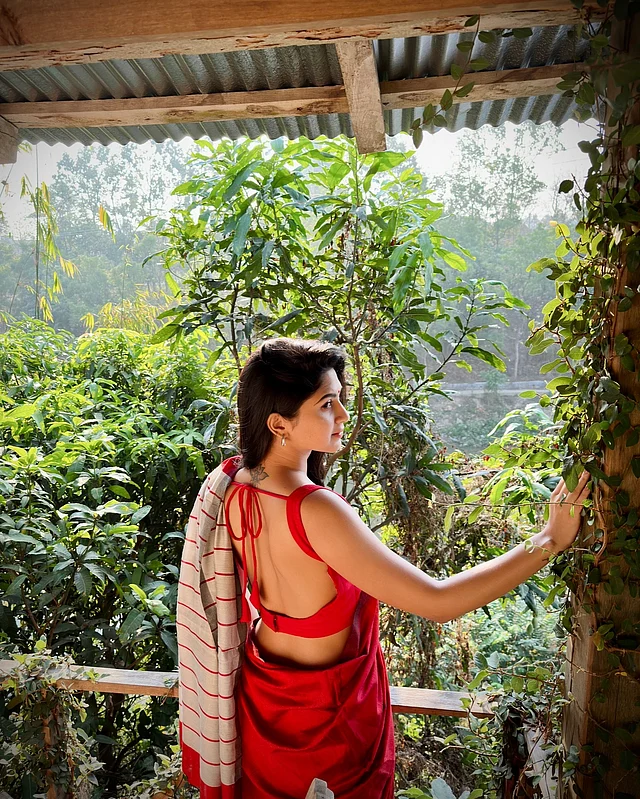 ব্যাকলেস ব্লাউজের শাড়ির লুকে আকর্ষণ ছড়াচ্ছেন তিনি