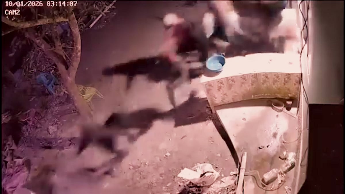 ডাকাতি করতে এসে দৌড়ে পালিয়েছে ডাকাত দল