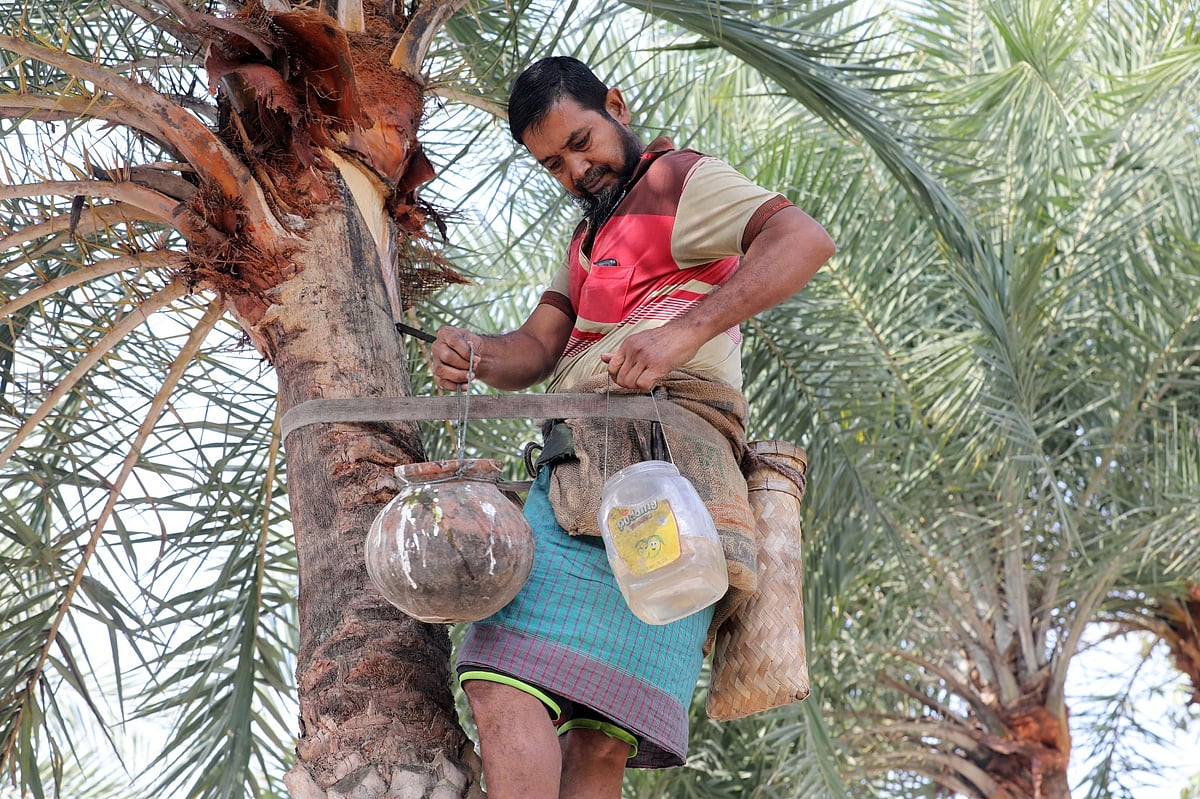 একঝলক (১১ জানুয়ারি ২০২৬)