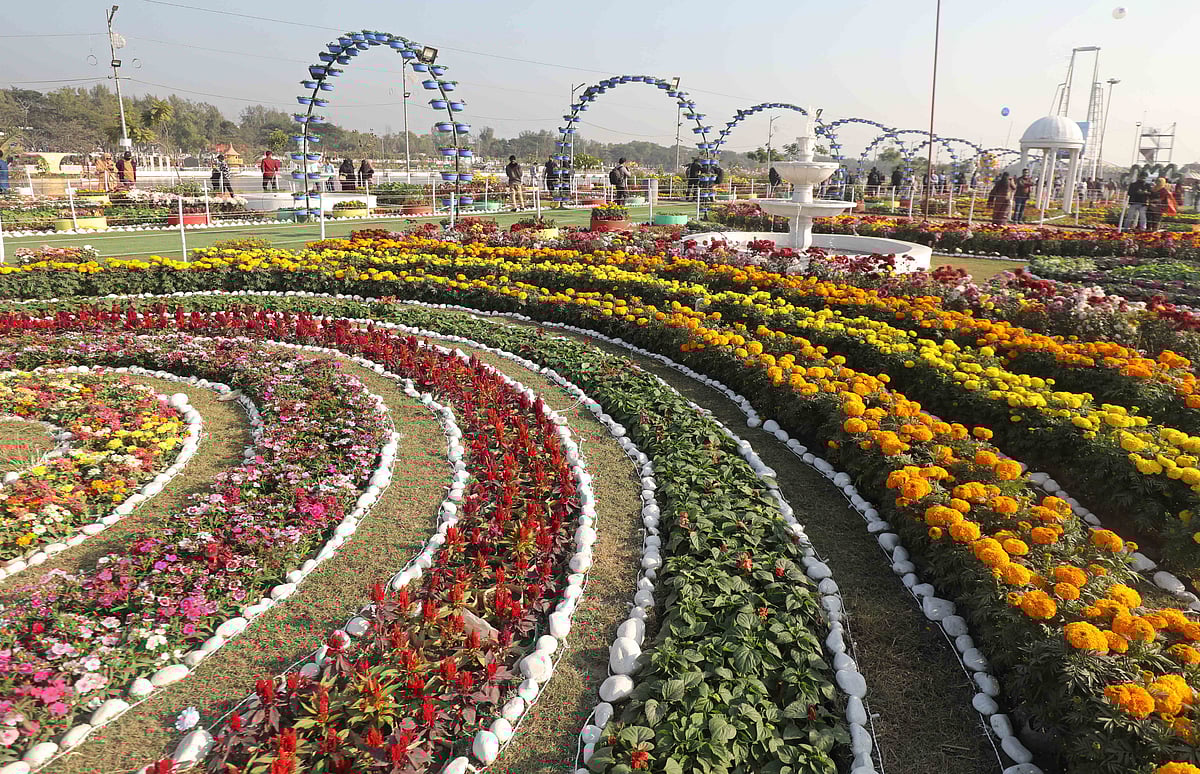 ফৌজদারহাটের ডিসি পার্ক এখন ফুলের দখলে, দেখতে ভিড় করছেন দর্শনার্থীরা