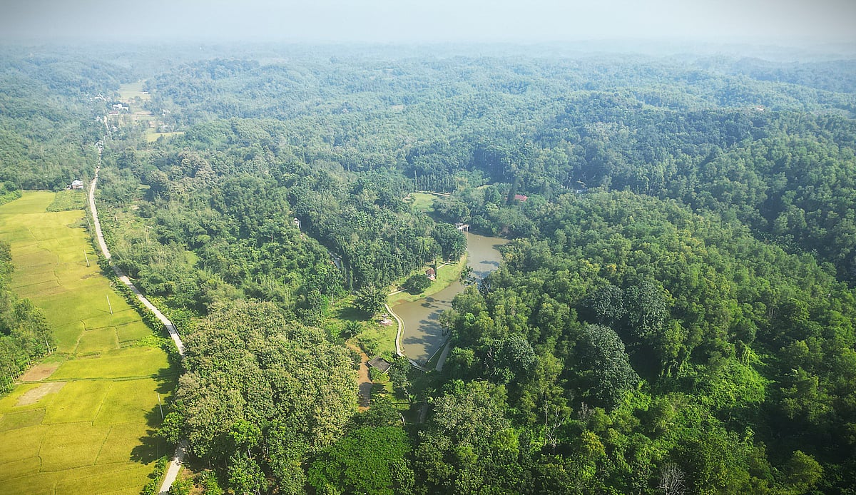 এত প্রাকৃতিক সৌন্দর্য, তবু কেন পর্যটক নেই লাউচাপড়া বিনোদন কেন্দ্রে