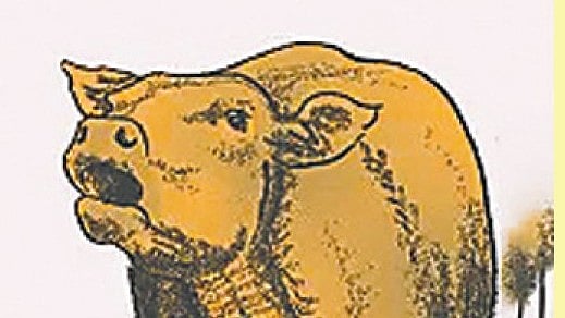 গরুকে খাইয়ে দেয় স্বয়ংক্রিয় ফিডার