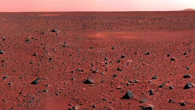 মঙ্গল গ্রহকে বসবাসের উপযোগী করতে পারে পৃথিবীতে থাকা দুই অণুজীব