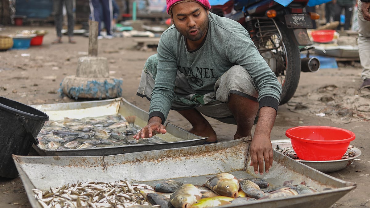 পাত্রে পানি দিয়ে তার মধ্যে মাছ তাজা রাখা হচ্ছে
 