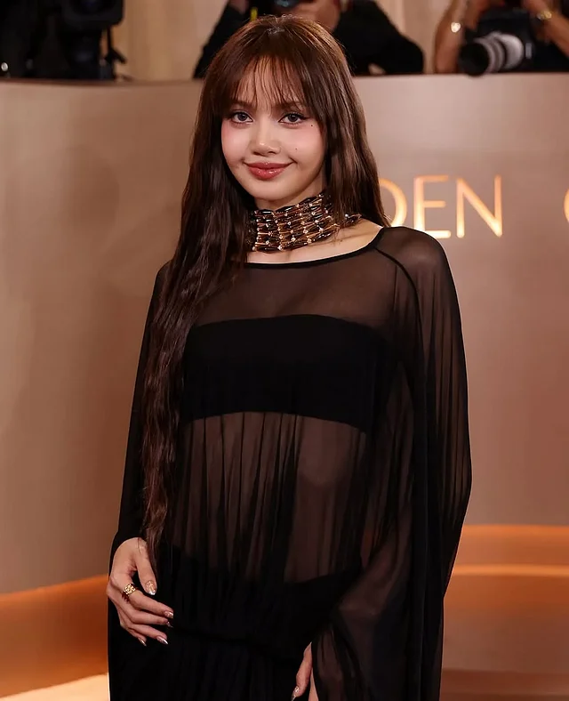 আকর্ষণ আর গ্রেসের পারফেক্ট মিশেল বলা যায় এই স্বচ্ছ গাউনটিকে 