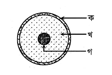 পৃথিবীর ভূত্বকের আবরণ পাতলা কিন্তু কঠিন