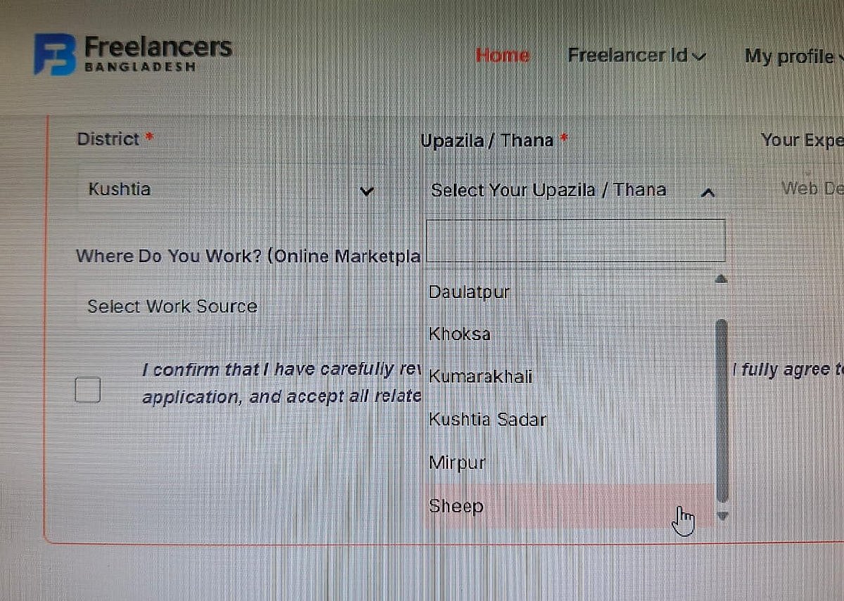 সরকারি ওয়েবসাইটে ২১ উপজেলার উদ্ভট নাম