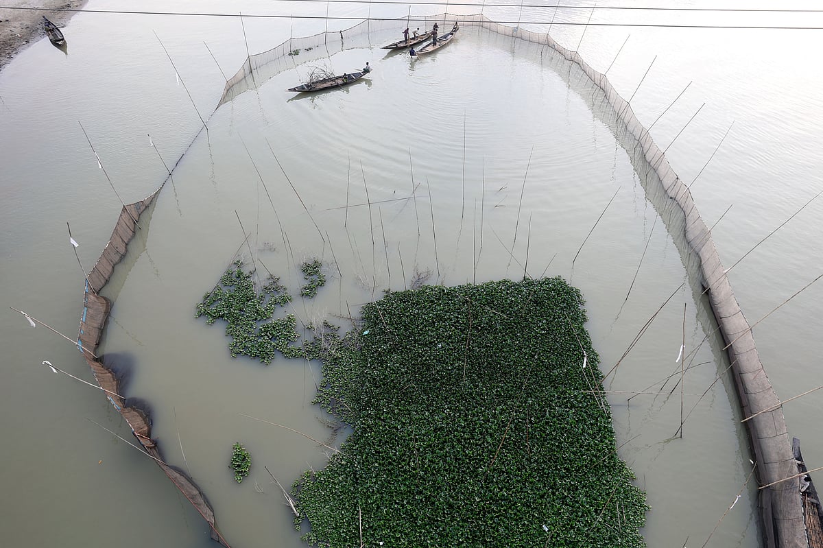 নদের মাঝখানে বাঁশের খুঁটি আর জাল বসিয়ে তৈরি করা হয়েছে ঘের