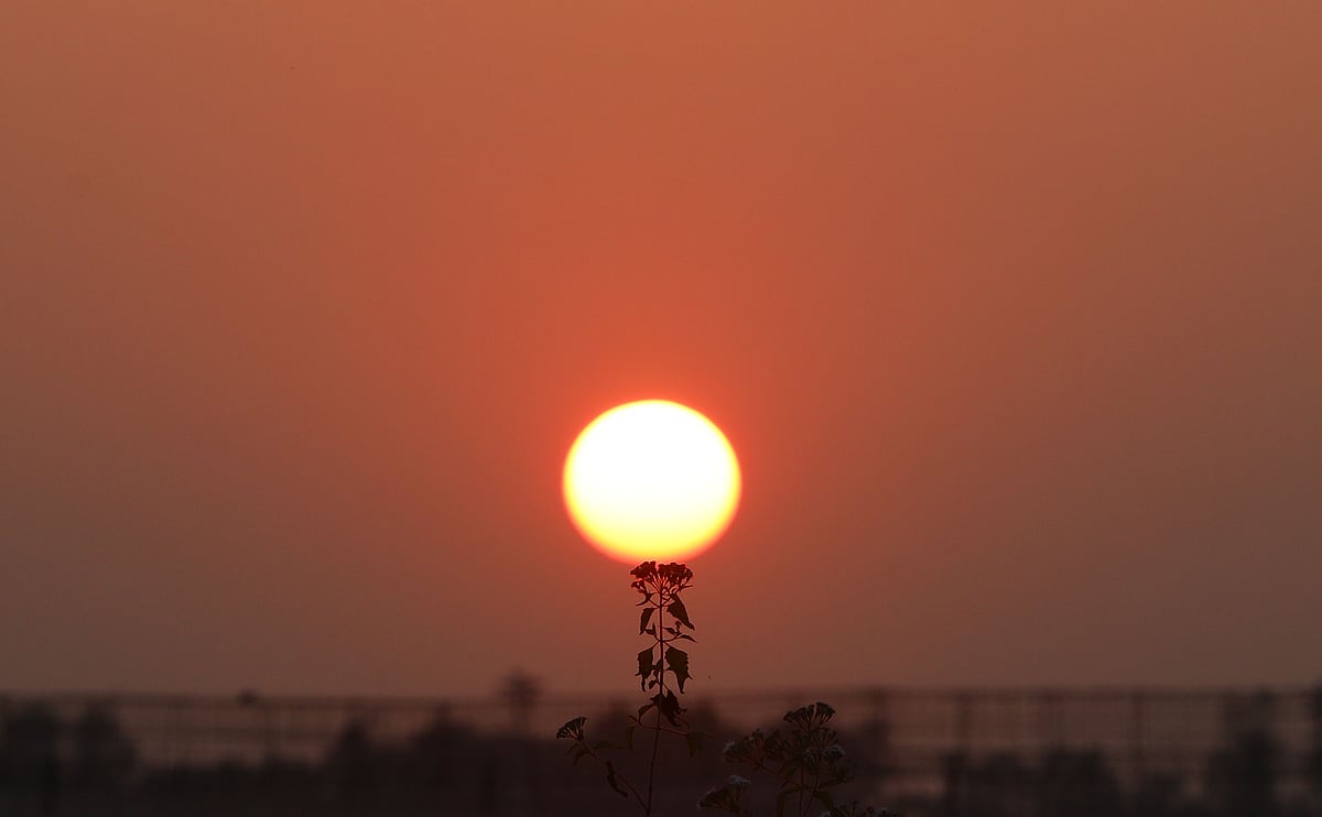 কুয়াশায় মোড়া শীতের নিঃশব্দ বিকেল