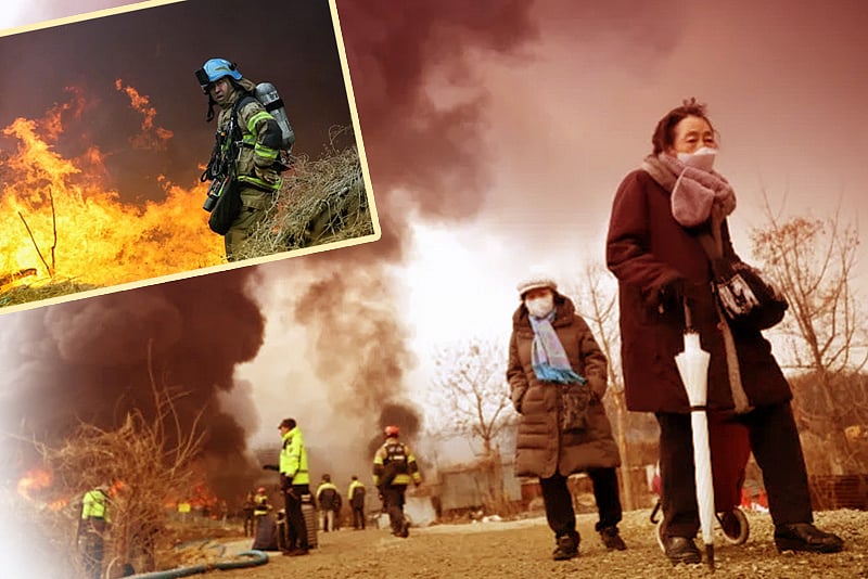 আট ঘণ্টা ধরে জ্বলল সিউলের গুরিয়ং এলাকা, ২৫৮ জনকে সরিয়ে নেওয়া হয়