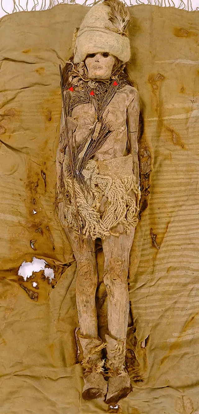 চীনের একটি মানব মমির গলার কাছে ৩ হাজার ৬০০ বছর ধরে আটকে থাকা (লাল রঙে চিহ্নিত) পনিরকে প্রত্নতাত্ত্বিকেরা পৃথিবীর প্রাচীনতম পনির বলে দাবি করেছেন