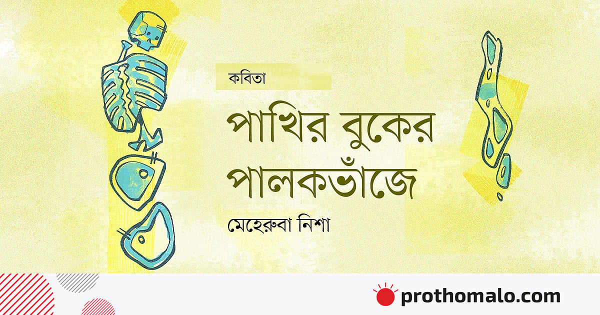 পাখির বুকের পালকভাঁজে পাখির বুকের পালকভাঁজে