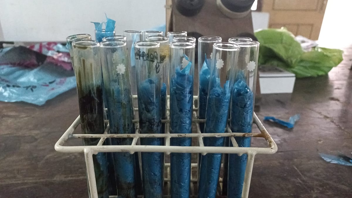 ছবি: গবেষকদলের সৌজন্যে