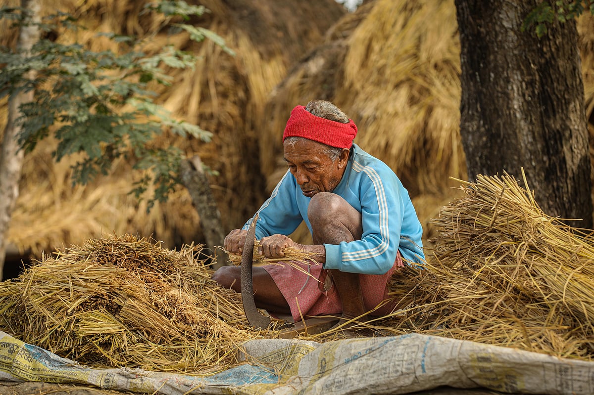 ছবি: সাদ্দাম হোসেন